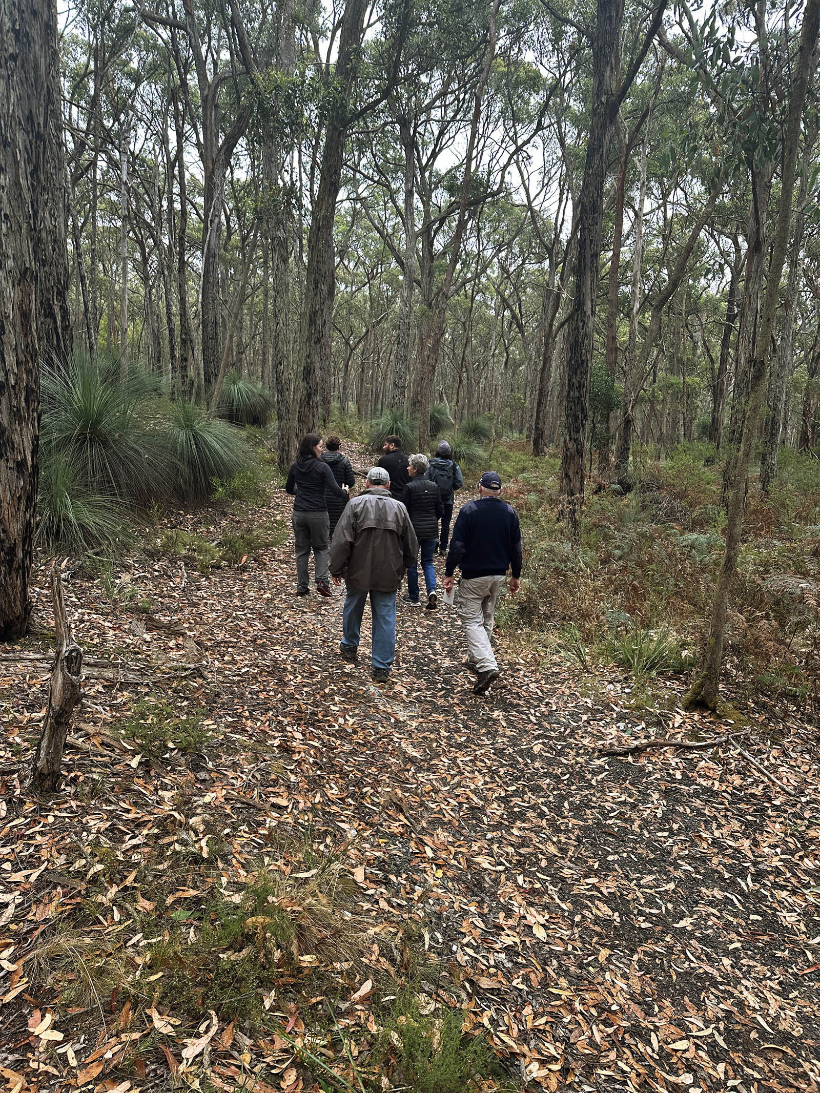 A group of seven people walk on a path through a forested region
