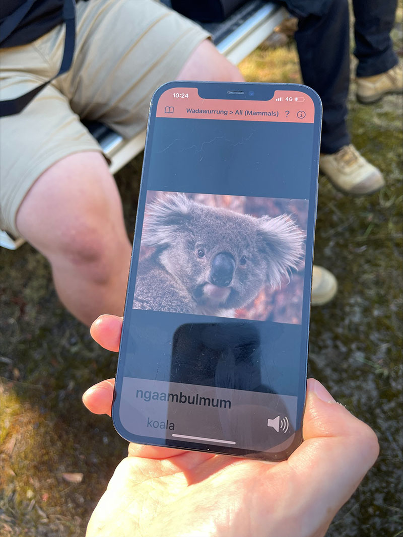 A screen shot of a koala spotting app showing with First Nations text