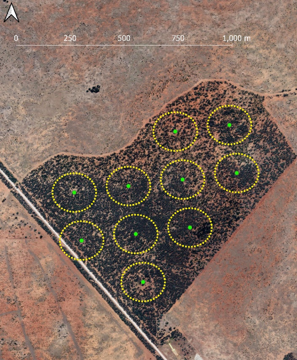 An aerial image with a highlighted area that features ten green dots, each surrounded by a yellow circle