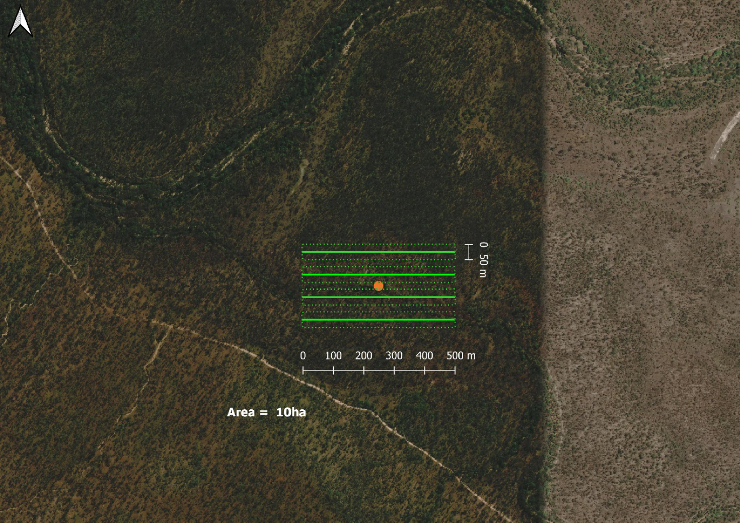 An aerial image with four parallel transect lines drawn across it