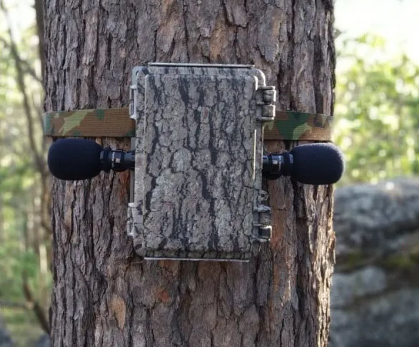 Product photo of the BAR-LT unit attached to a tree