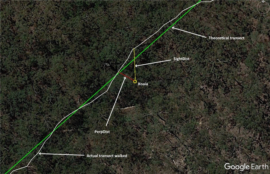 An aerial image with a straight green line drawn diagonally across it and a white line that roughly follows it and indicates the actual transect walked