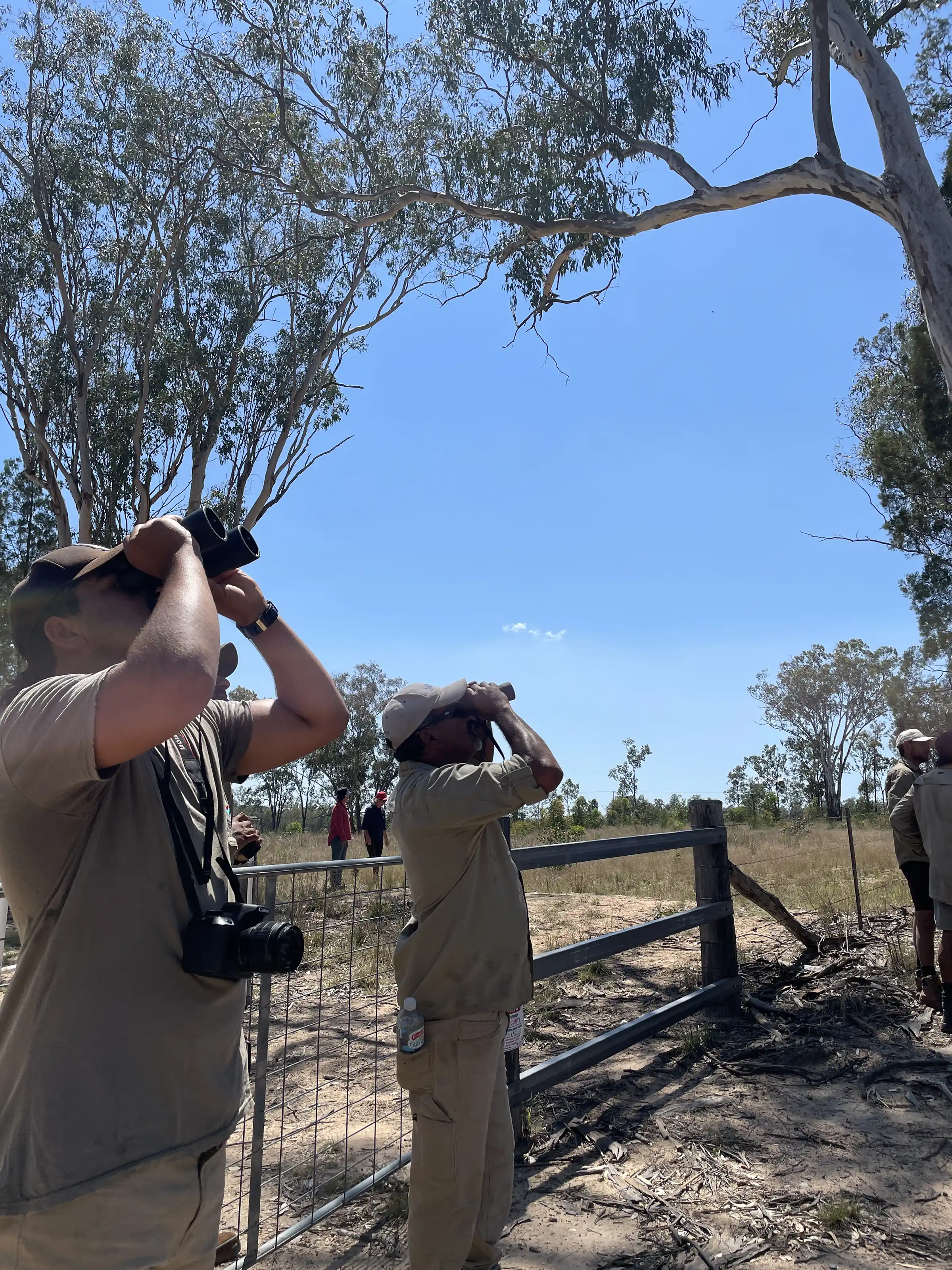 Two men look upwards through binoculars in front of a gate